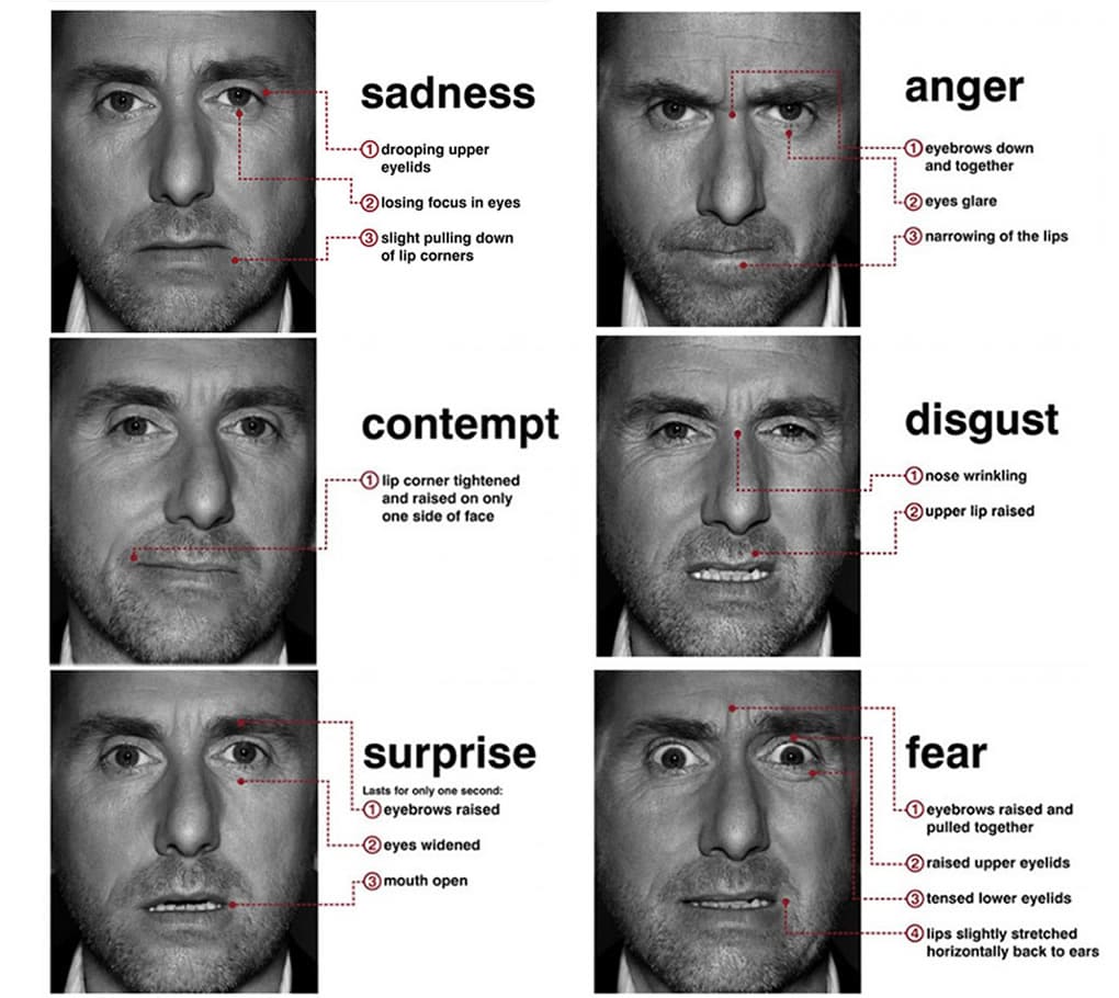Hat arckifejezés, a Hazudj, ha tudsz főszereplője bemutatásában: szomorúság, harag, megvetés, undor, meglepődés, félelem